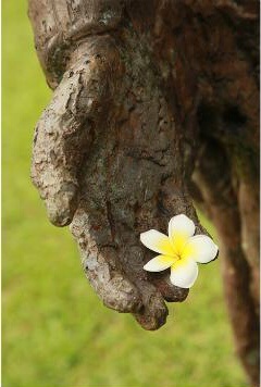 We value all your needs.